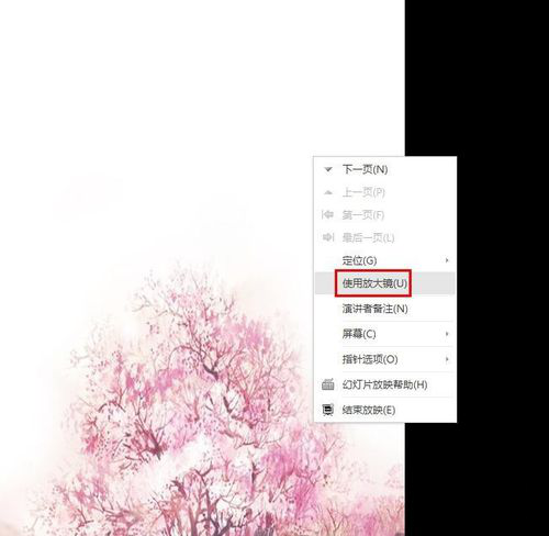 ppt中實(shí)現(xiàn)放大縮小具體操作步驟
