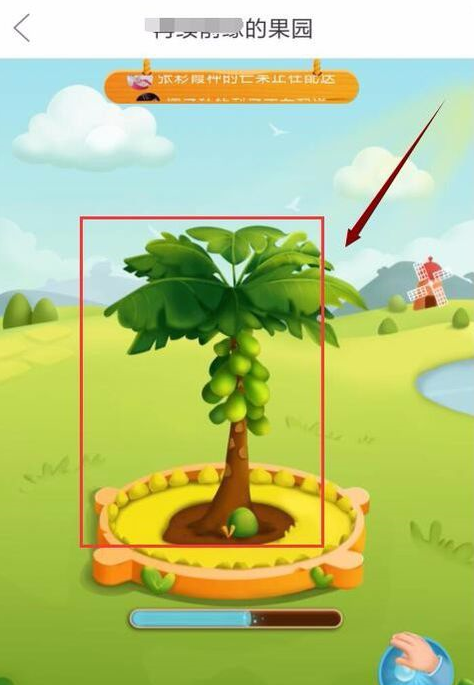 拼多多種果樹有幾個階段 拼多多果樹成長階段詳解