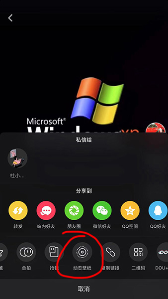 抖音XP系統動態壁紙如何設置？抖音XP系統動態壁紙設置方法攻略介紹!