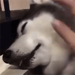 抖音我想盤他表情包有哪些 抖音我想盤他表情包介紹