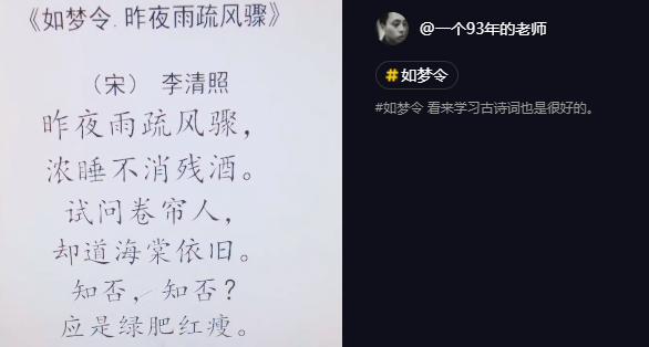 抖音昨夜雨疏風(fēng)驟是什么歌   抖音昨夜雨疏風(fēng)驟歌曲介紹