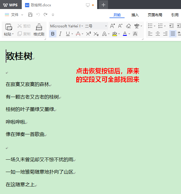 wps2019中如何批量刪除空段 具體操作方法