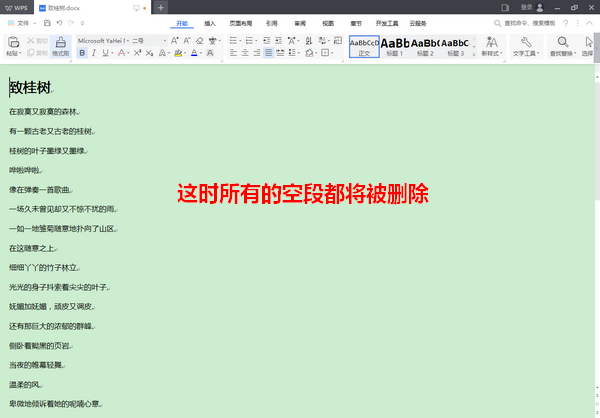wps2019中如何批量刪除空段 具體操作方法