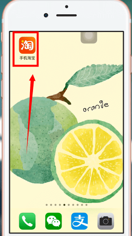 手機淘寶App投訴快遞員的具體操作流程
