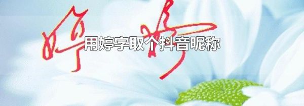 用婷字取個抖音昵稱
