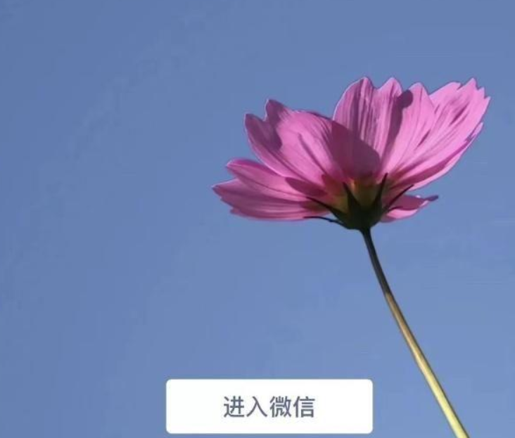 微信7.0后悔更新了如何恢復?微信7.0后悔更新后恢復方法教程解答!