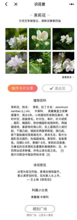 微信app小程序中的識花君怎么用？微信app小程序中的識花君用法介紹！
