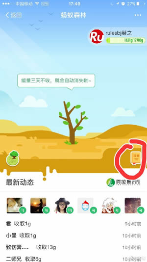 螞蟻森林釘釘是什么 螞蟻森林釘釘能量如何收集