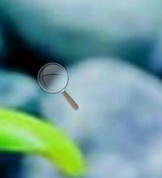 Win10打開放大鏡的方法