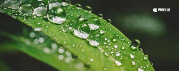 為什么水滴是圓形 水滴滴下去為什么是圓形的