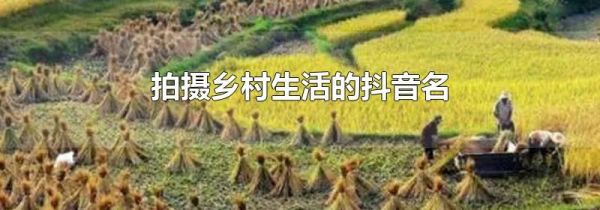 拍攝鄉村生活的抖音名