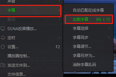 愛奇藝萬能播放器怎么調(diào)字幕 詳細(xì)操作流程