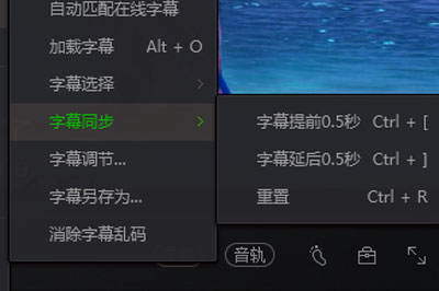 愛奇藝萬能播放器怎么調(diào)字幕 詳細(xì)操作流程