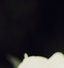 qq名片照片墻八組圖怎么弄 手機(jī)qq名片八組圖制作方法