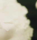 qq名片照片墻八組圖怎么弄 手機(jī)qq名片八組圖制作方法