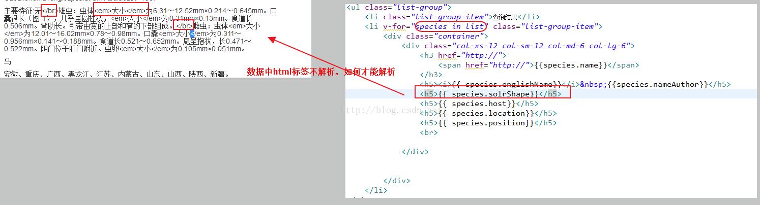 解決Vue大括號(hào)字符換行踩的坑