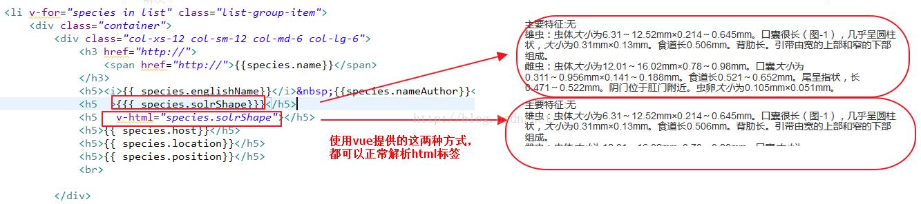 解決Vue大括號(hào)字符換行踩的坑