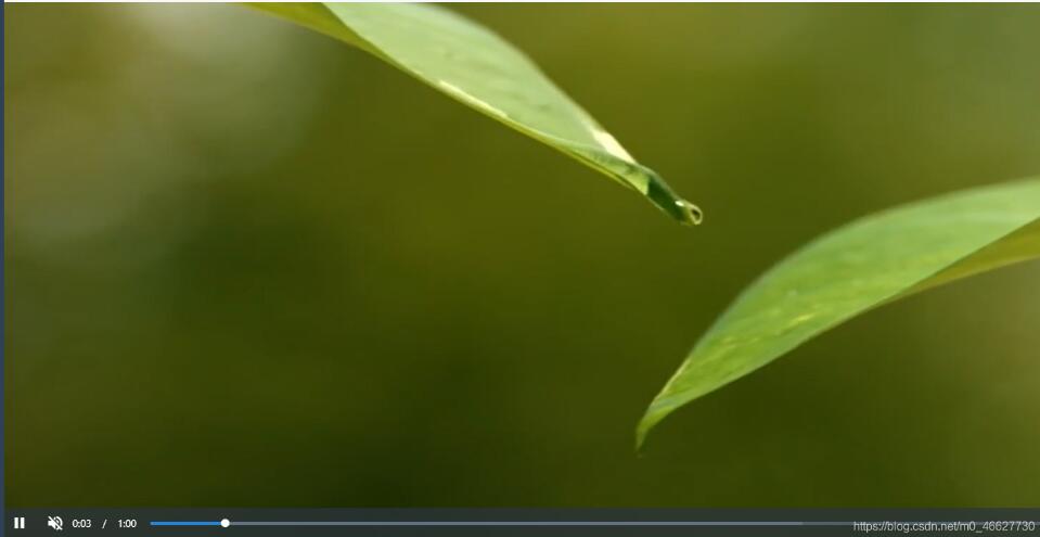 vue video和vue-video-player實現視頻鋪滿教程