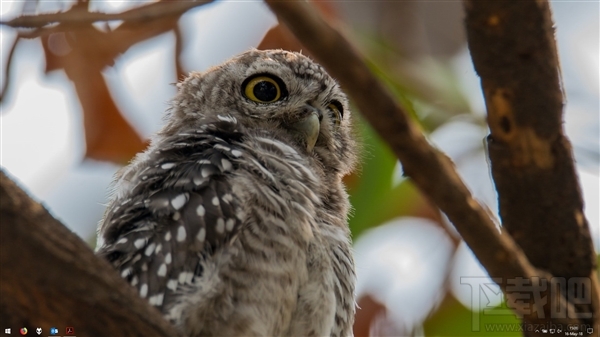 Win10更新后任務欄消失，Win10狀態欄不見了怎么辦