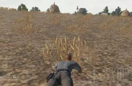 win 10絕地求生跳傘卡頓怎么辦?是配置問題嗎?