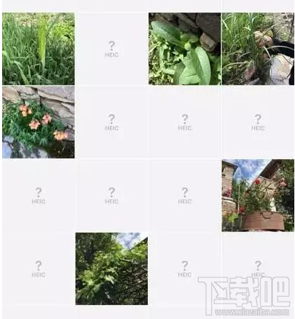 Win10查看不了HEIC圖片格式怎么辦?iOS 11圖片問題解決教程