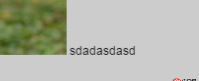 頁面用CSS3的scale屬性進(jìn)行了縮放,圖片模糊解決不了,那么字體能否讓它們不模糊呢?