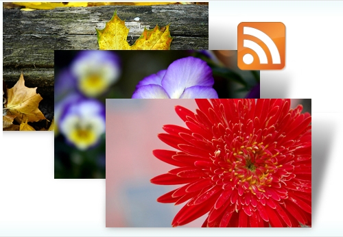 Windows7官方RSS動態主題