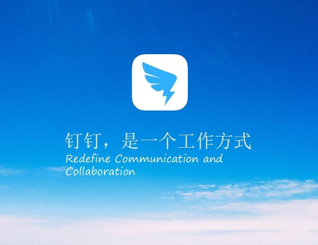 釘釘投票怎么找 釘釘發(fā)起投票教程