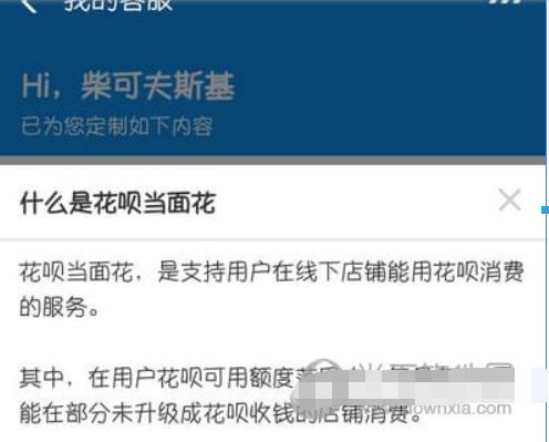 花唄當面花怎么用不了? 花唄當面花無法使用如何解決?