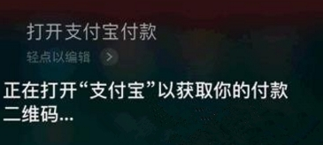 支付寶App怎么使用語音支付_詳細操作步驟