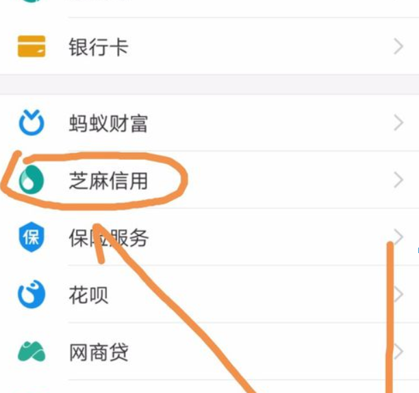 支付寶芝麻信用如何導入賬單？ 支付寶芝麻信用賬單導入方法是什么？