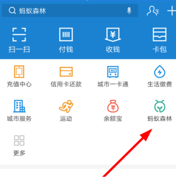 螞蟻森林如何設置收能量提醒? 支付寶螞蟻森林收能量提醒開啟教程解答!