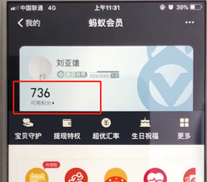 支付寶APP查詢螞蟻會(huì)員積分的具體操作步驟