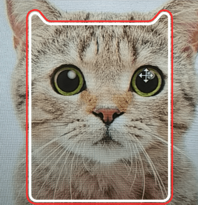 天貓雙11掃貓抽紅包玩法是什么？ 天貓AR掃貓抽紅包活動參加攻略介紹！