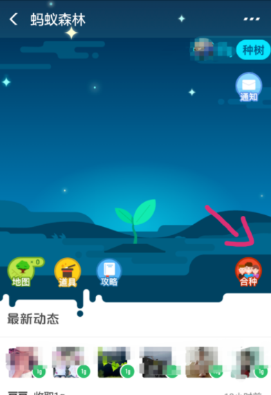 支付寶螞蟻森林如何發起合種？螞蟻森林操作教程