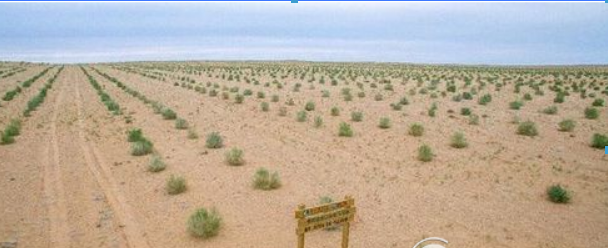 螞蟻森林全民義務植樹盡責證書如何獲取 植樹盡責證書獲取攻略介紹！