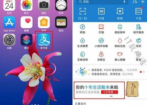 支付寶我的十年生活賬本如何查看?我的十年生活賬本查看方法介紹!