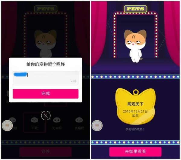 手機(jī)QQ空間看寵物的詳細(xì)操作步驟