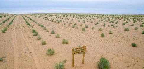 螞蟻森林全民義務(wù)植樹盡責(zé)證書獲得方法分享