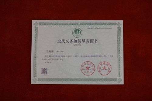 螞蟻森林全民義務植樹盡責證書怎么領 全民義務植樹盡責證書獲取方法