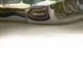 抖音很火的烏龜六張圖怎么玩?