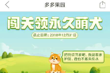 拼多多果園怎么養狗?果園養狗方法技巧圖文步驟講解