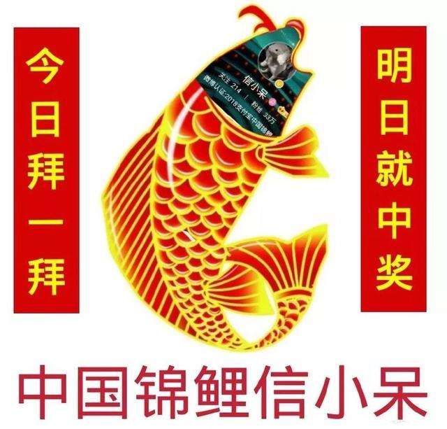 中國錦鯉2019年還有嗎?支付寶中國錦鯉2019年開獎詳情