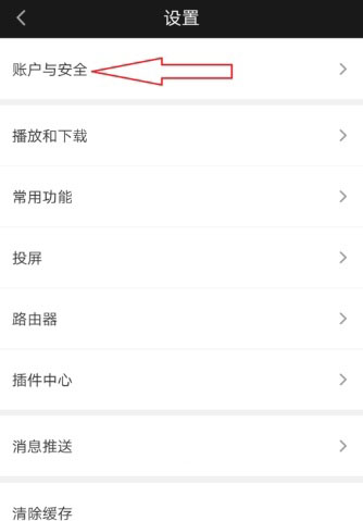 愛奇藝怎么查看登錄記錄_愛奇藝查看登錄記錄教程