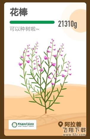 支付寶螞蟻森林花姑娘是什么_支付寶螞蟻森林花姑娘種植方法教程