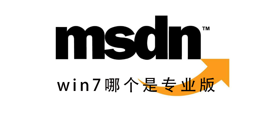 msdn我告訴你win7哪個是專業版