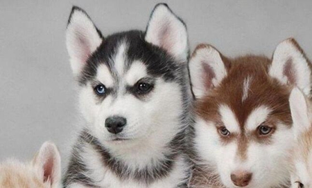 win10顯示無法全屏怎么辦