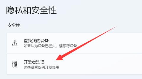 win11打開開發(fā)者模式教程