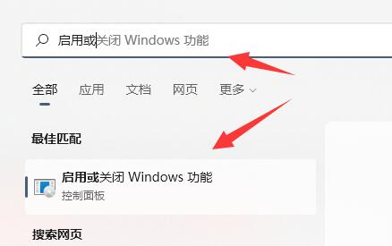 win11正式版有wsa嗎詳細介紹