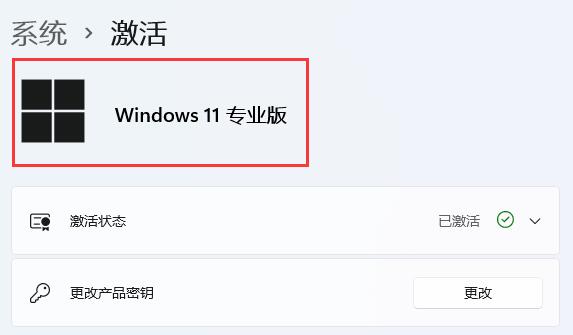 win11安裝時無法選擇專業版
